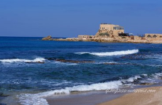 迪拜急招建筑工木工，鋼筋工，外架，砼工